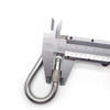 Stainless Steel Snap Hook with Screw Lock Heavy Duty Spring Buckle for Rock Climbing,Outdoor