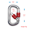 25KN Wholesale Heavy Duty 7075 Aluminium D Shape Flat Safety Snap Hook Custom Climbing 25KN Carabiner
